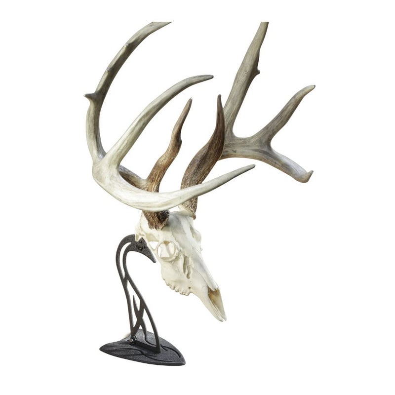 Skull Hooker Table Hooker European Trophy Mount â€“ Perfect Kit for Table Display of Taxidermy Deer Antlers and other Skulls â€“ Graphite Black - Image 4